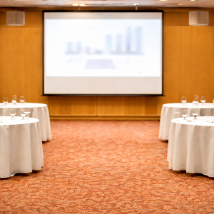 ホテルの宴会場のような空間のスクリーンに投影されています